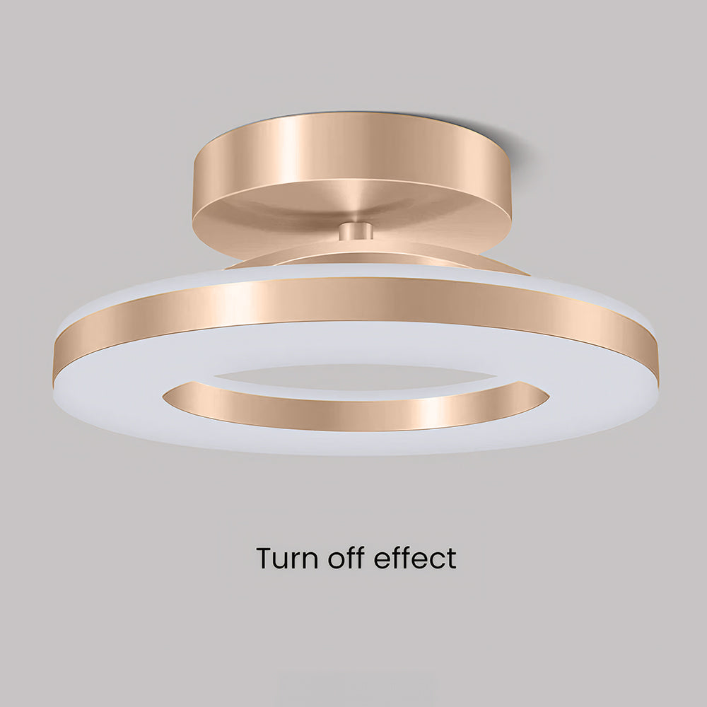 Plafonnier Élégance LED - Luminaire en Fer Doré 8