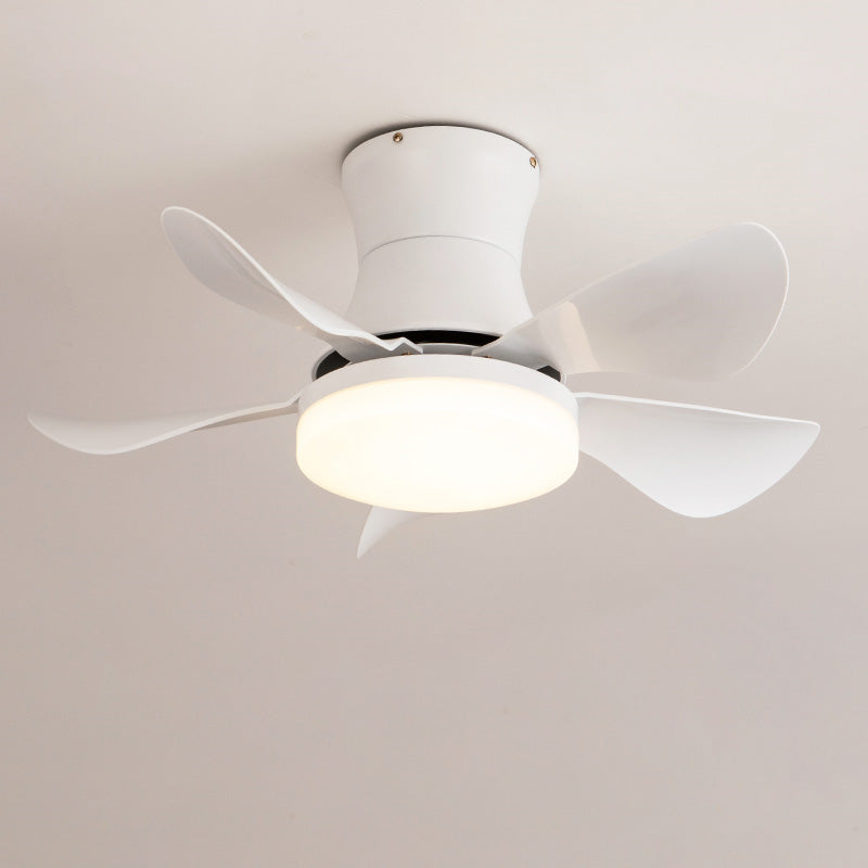 AeroMini LED Fan