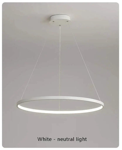 Suspension Cercle Blanc