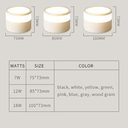 Spot LED Cylindrique Coloré - Éclat