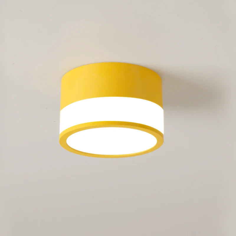 Spot LED Cylindrique Coloré - Éclat