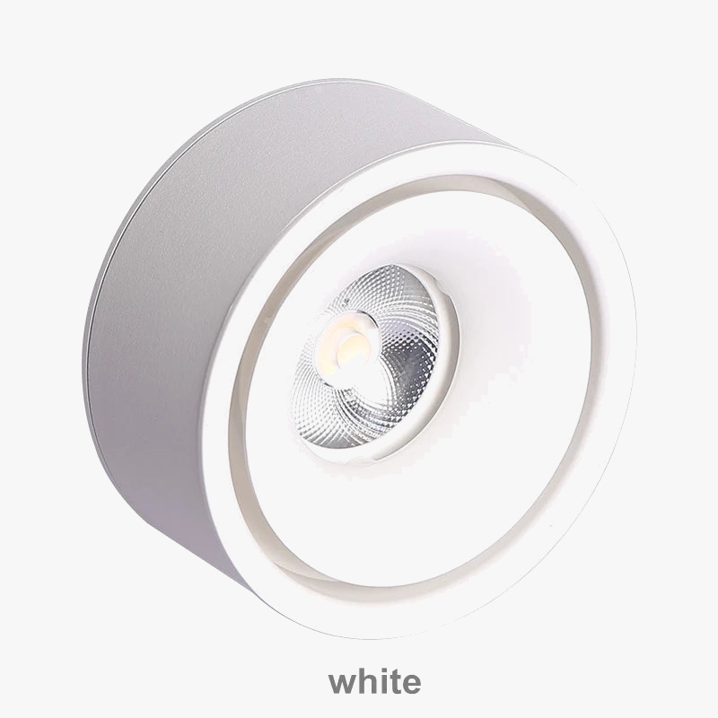 Spot LED Encadré à Intensité Variable - Élégance Moderne