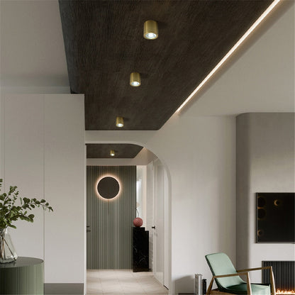 Spot Lumineux Plafond Cylindrique Moderne - Tarm Doré