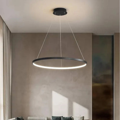 Suspension Cercle
