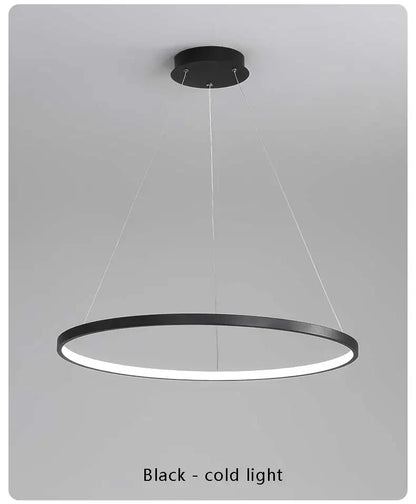 Suspension Cercle