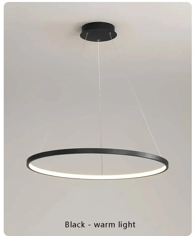 Suspension Cercle