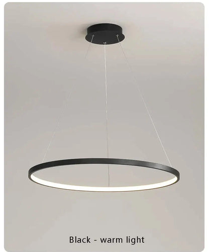 Suspension Cercle