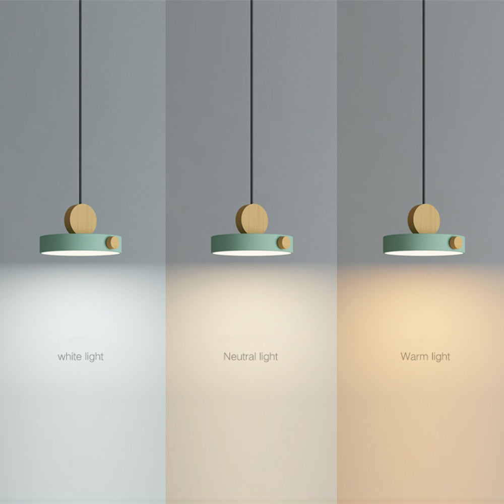 Suspension Moderne LED Colorée - RoundWood