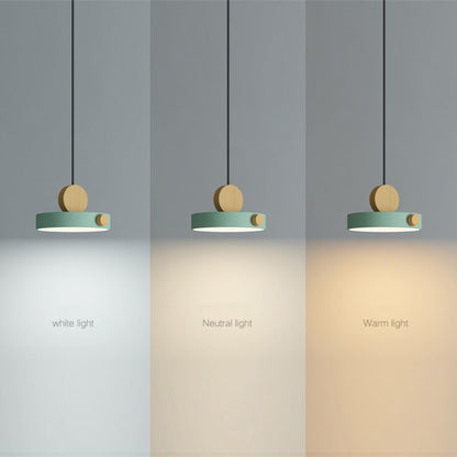 Suspension Moderne LED Colorée - RoundWood