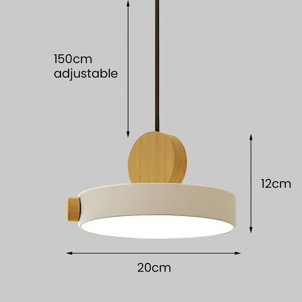 Suspension Moderne LED Colorée - RoundWood