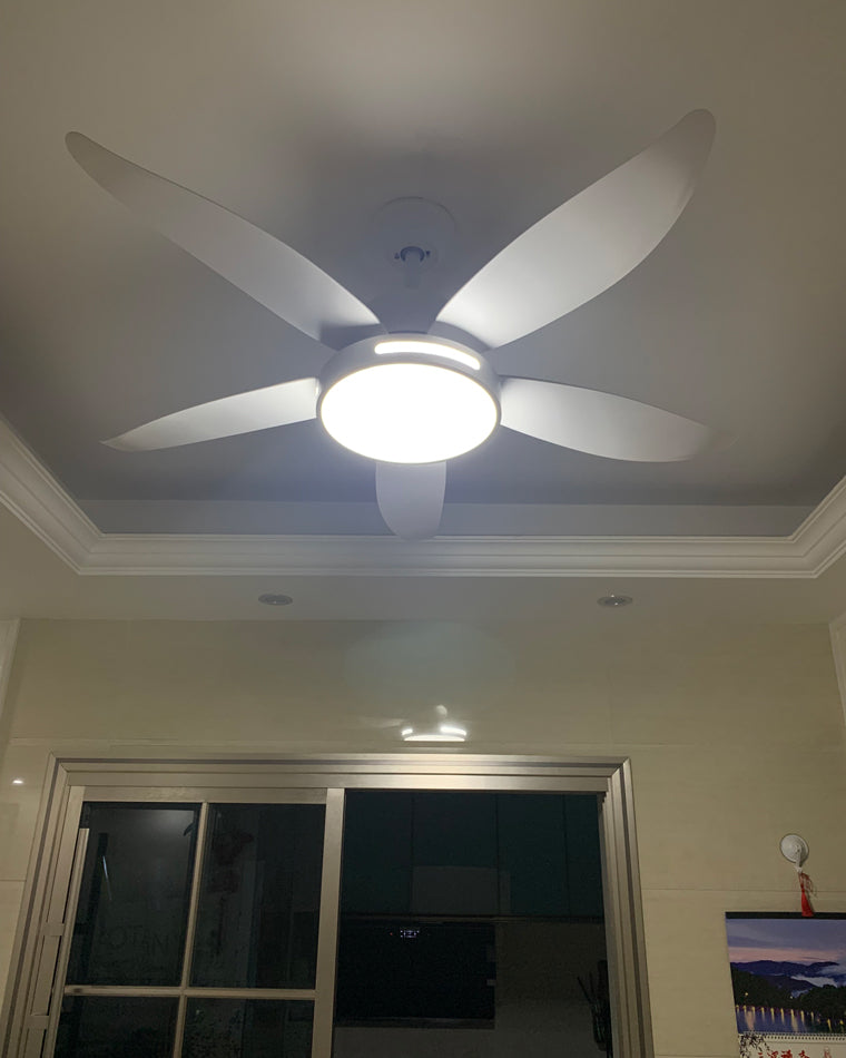 Ventilateur LuminaFlow à LED