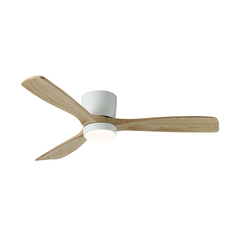 Ventilateur Nordiva