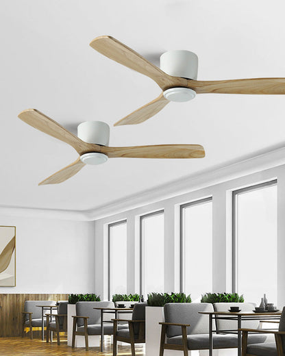 Ventilateur Nordiva