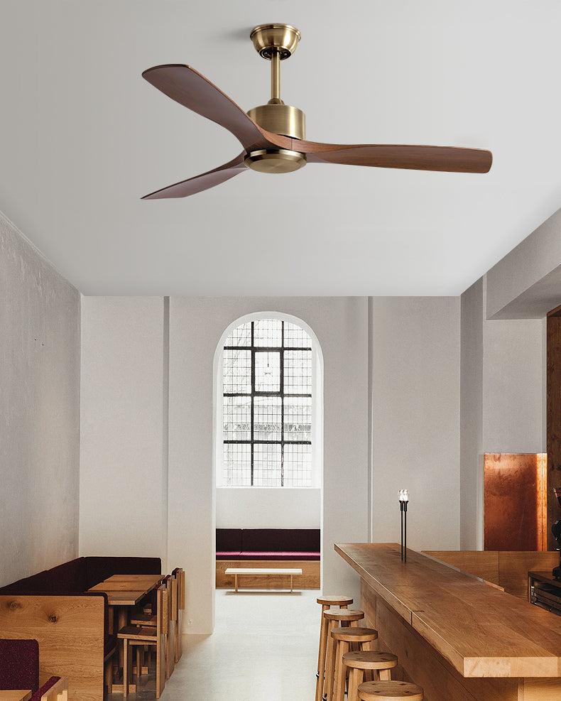 Ventilateur Plafonnier Aéra