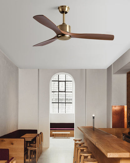 Ventilateur Plafonnier Aéra
