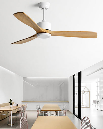 Ventilateur Plafonnier Aéra