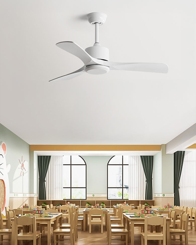 Ventilateur Plafonnier Aéra