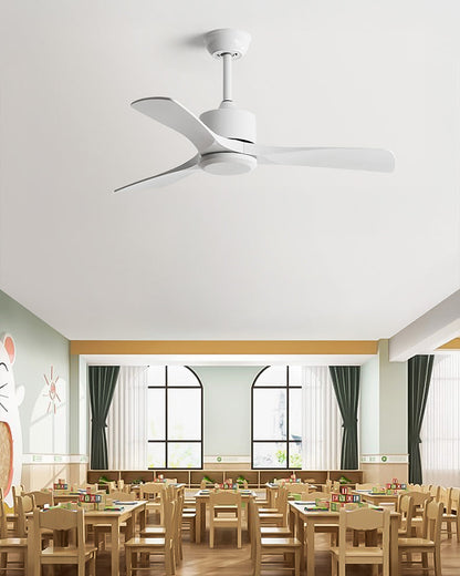 Ventilateur Plafonnier Aéra