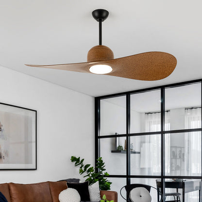 Ventilateur Plafonnier Aéro Duo