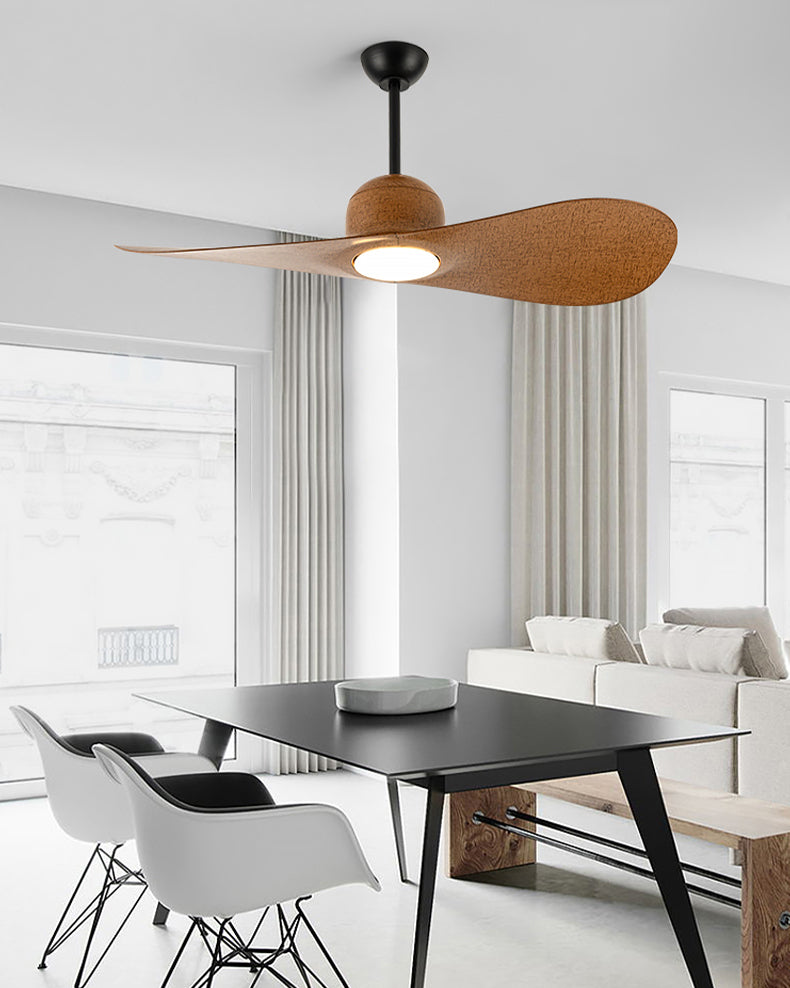 Ventilateur Plafonnier Aéro Duo