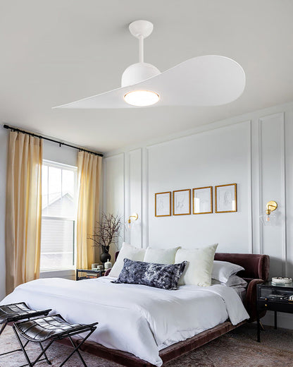 Ventilateur Plafonnier Aéro Duo