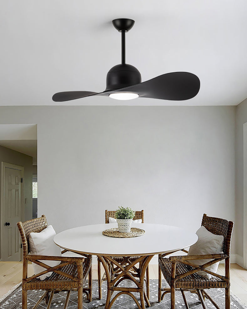 Ventilateur Plafonnier Aéro Duo