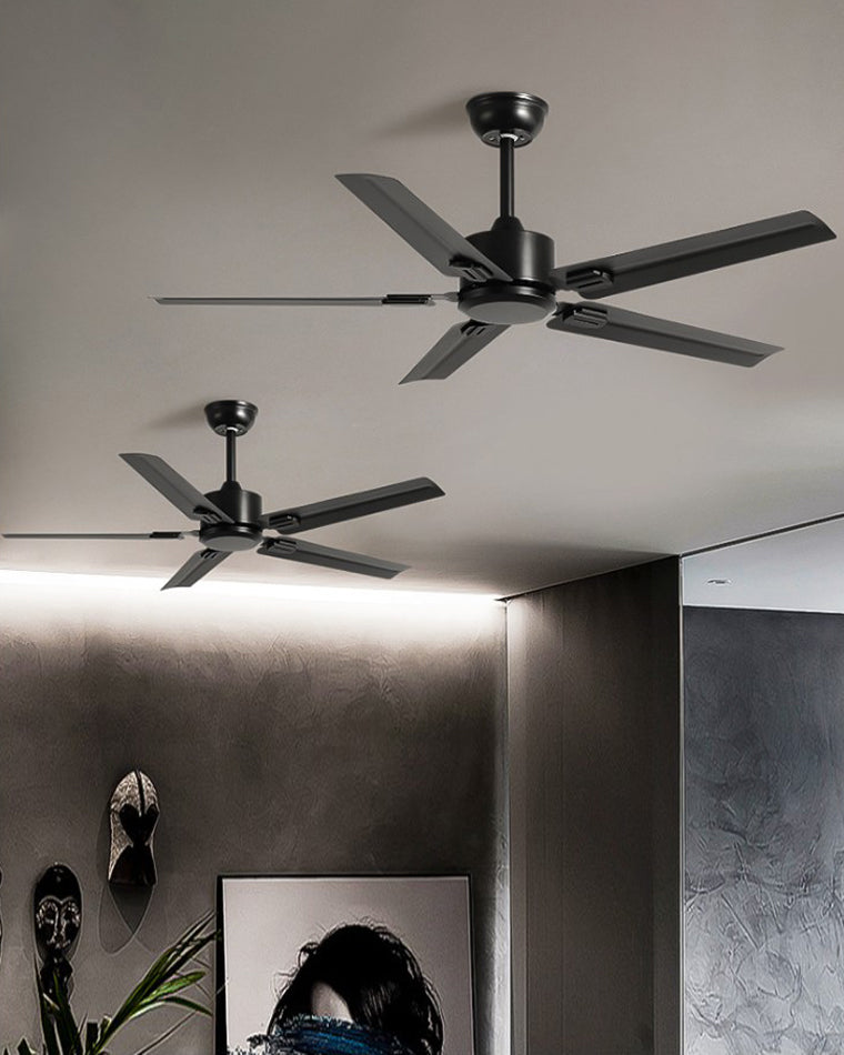 Ventilateur Plafonnier Éclat Verre Noir