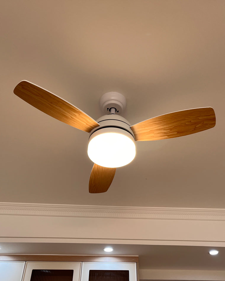Ventilateur Plafonnier Nordik Aura
