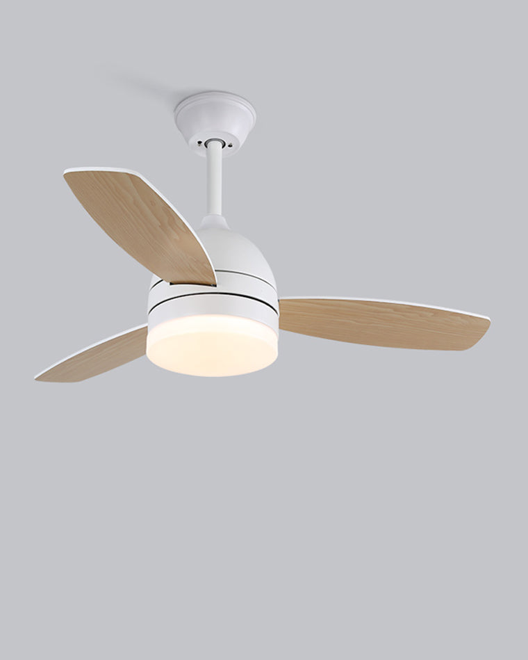 Ventilateur Plafonnier Nordik Aura
