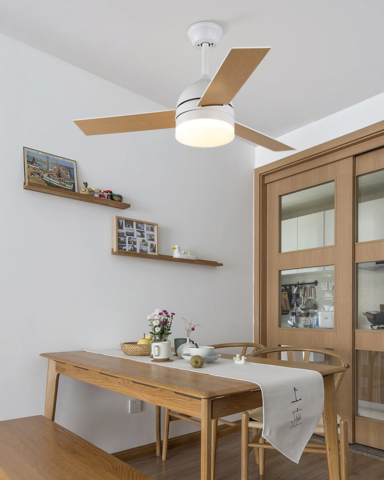 Ventilateur Plafonnier Nordik Aura