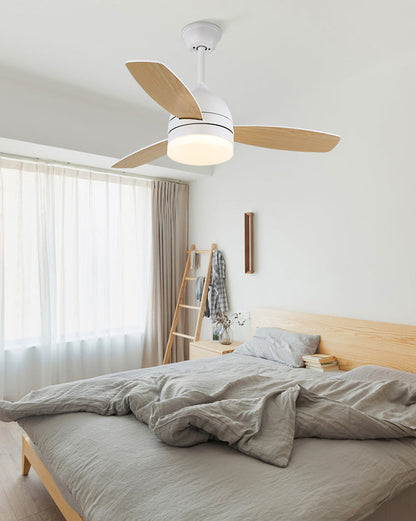 Ventilateur Plafonnier Nordik Aura