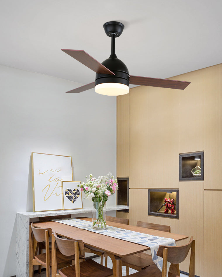 Ventilateur Plafonnier Nordik Aura