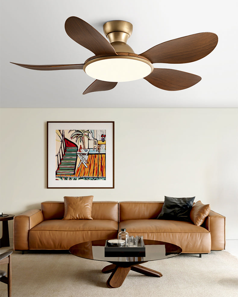 Ventilateur Plafonnier Nordik Brillance