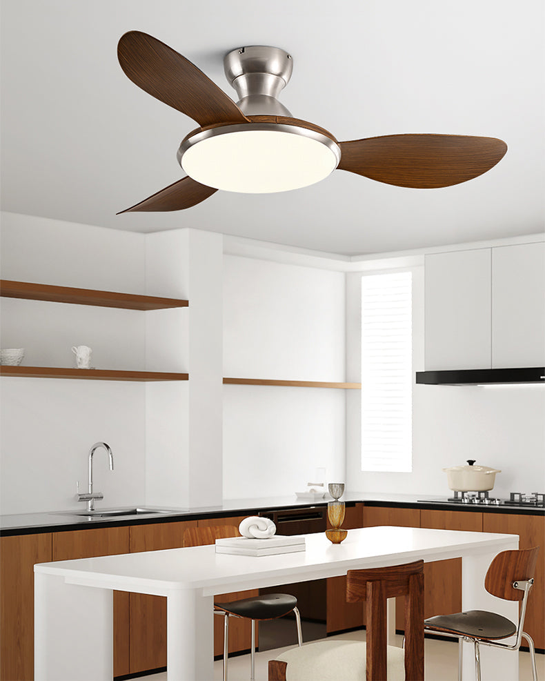 Ventilateur Plafonnier Nordik Brillance