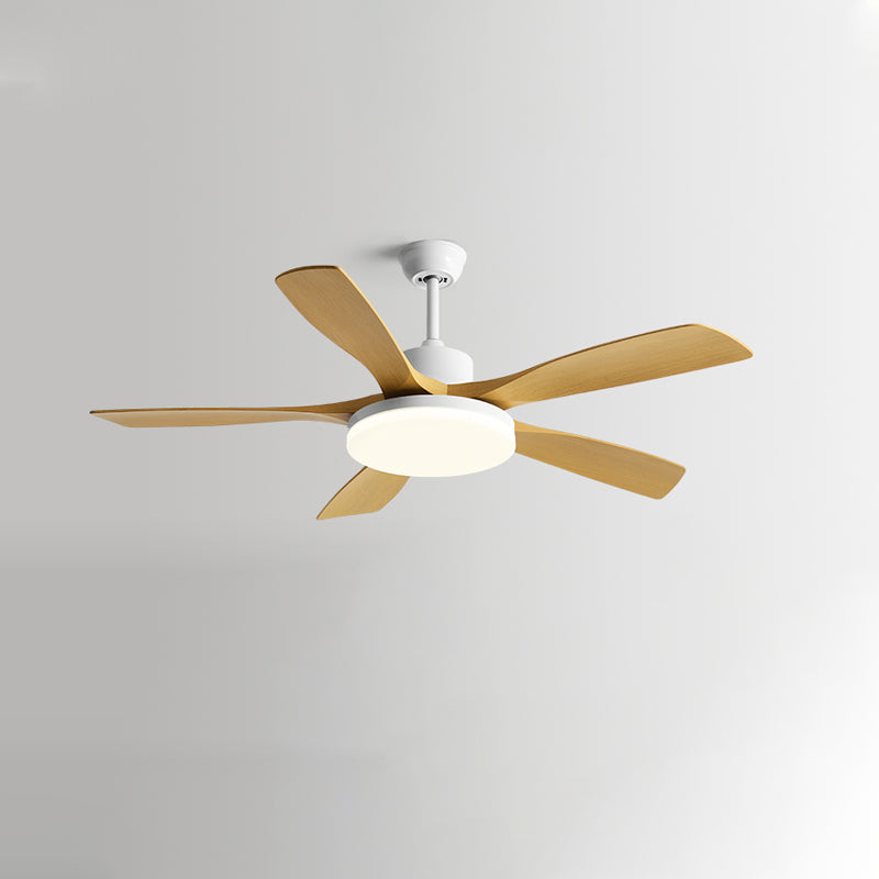 Ventilateur Plafonnier Nordik Quintessence