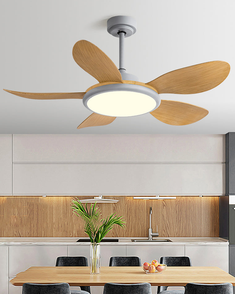 Ventilateur Plafonnier Quintette Boréal