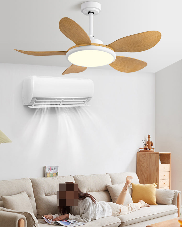 Ventilateur Plafonnier Quintette Boréal