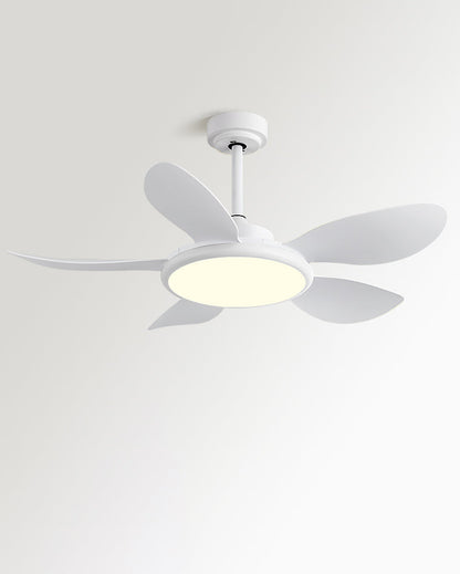 Ventilateur Plafonnier Quintette Boréal
