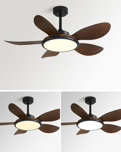 Ventilateur Plafonnier Quintette Boréal
