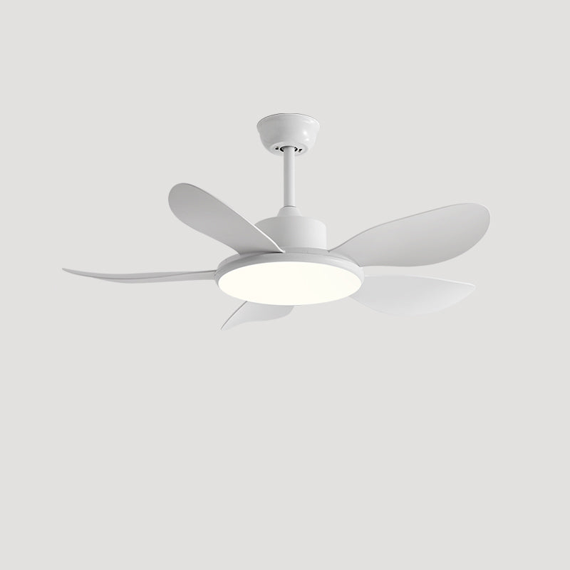 Ventilateur Plafonnier Quintette Boréal