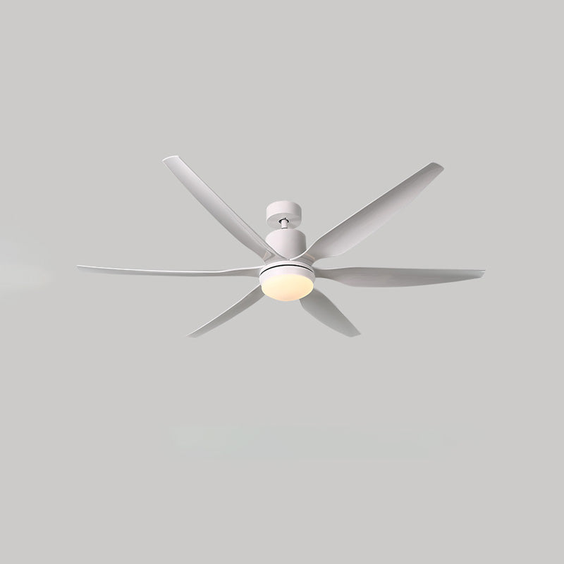 Ventilateur TerraMax à 5 pales