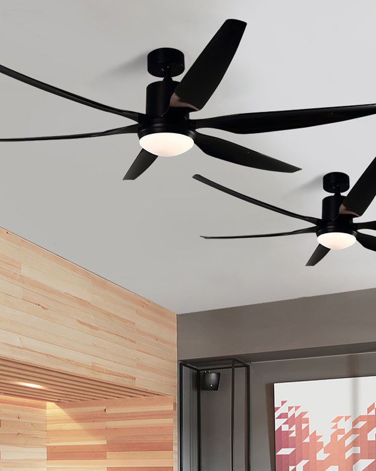 Ventilateur TerraMax à 5 pales