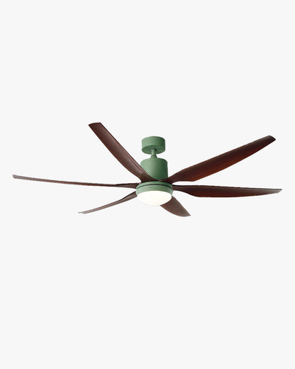 Ventilateur TerraMax à 5 pales