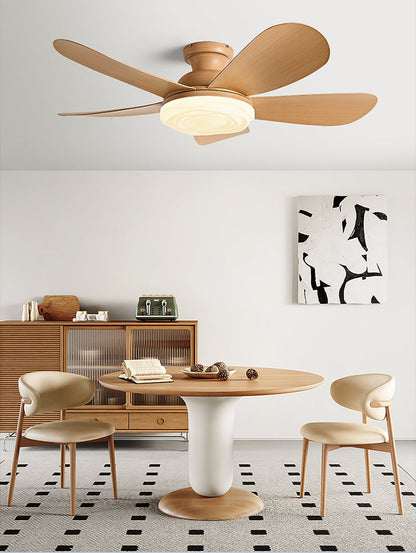 Ventilateur de Plafond Aramis
