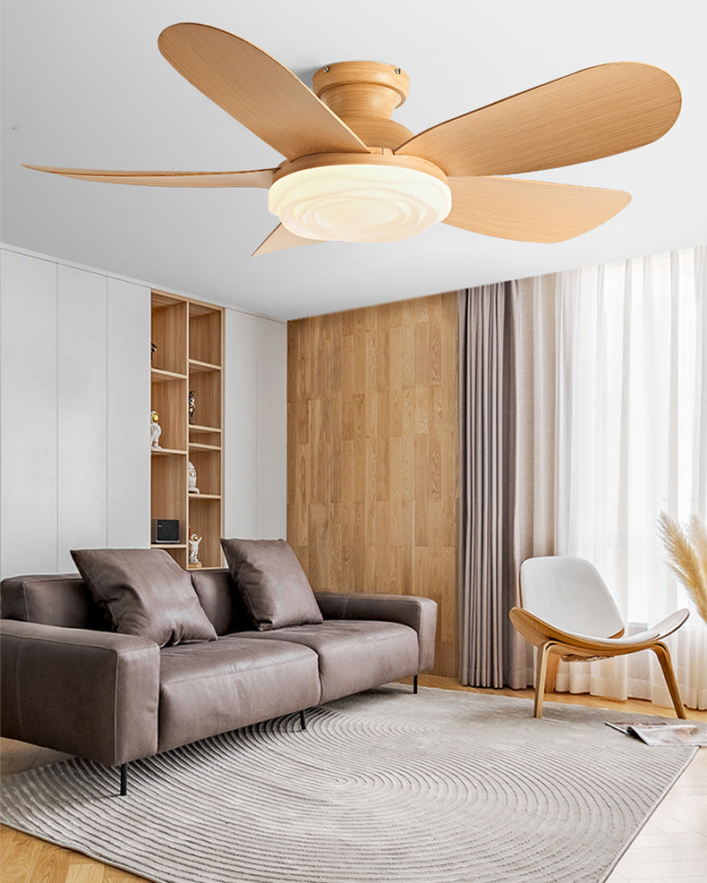 Ventilateur de Plafond Aramis