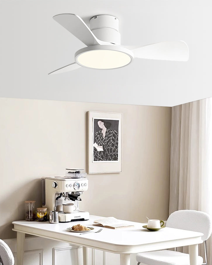 Ventilateur de Plafond Brise Élégante
