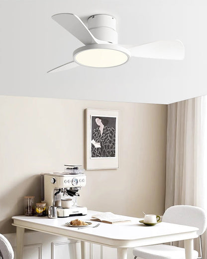 Ventilateur de Plafond Brise Élégante