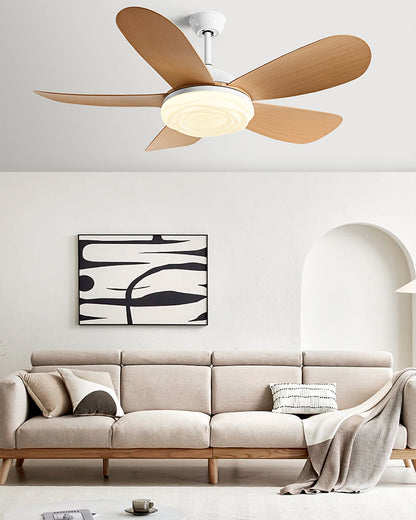 Ventilateur de Plafond Brise Scandinave