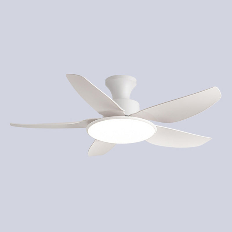 Ventilateur de Plafond Compact à Profil Bas-AeroLuna™