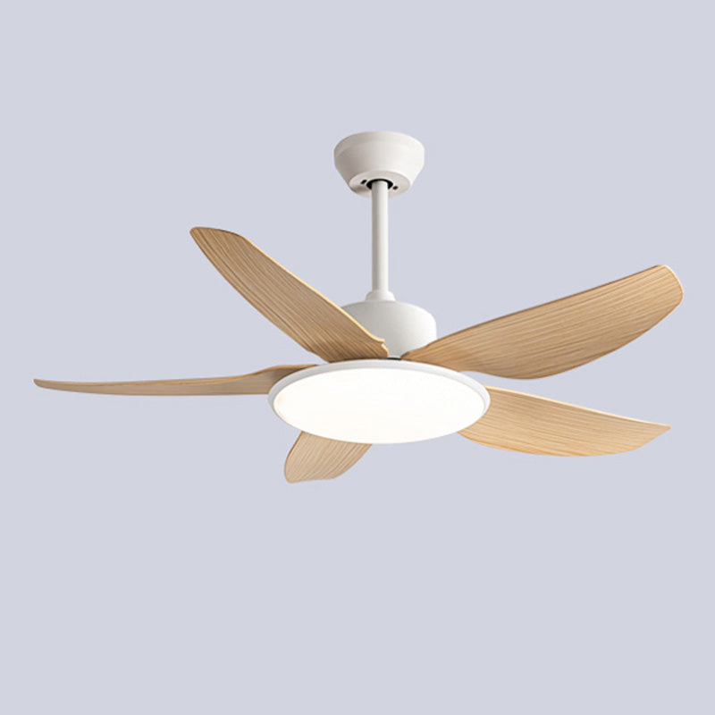 Ventilateur de Plafond Compact à Profil Bas-AeroLuna™